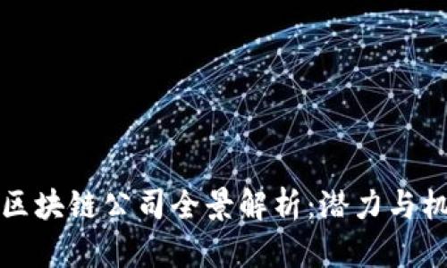 岳阳市区块链公司全景解析：潜力与机遇并存